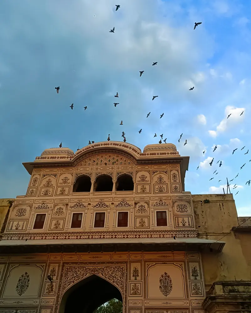 Birds wheeling above the painted facade of an old haveli